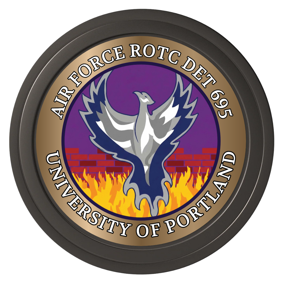 Air Force ROTC Det 695 Composite Poker Chips - Black / Solid - Front