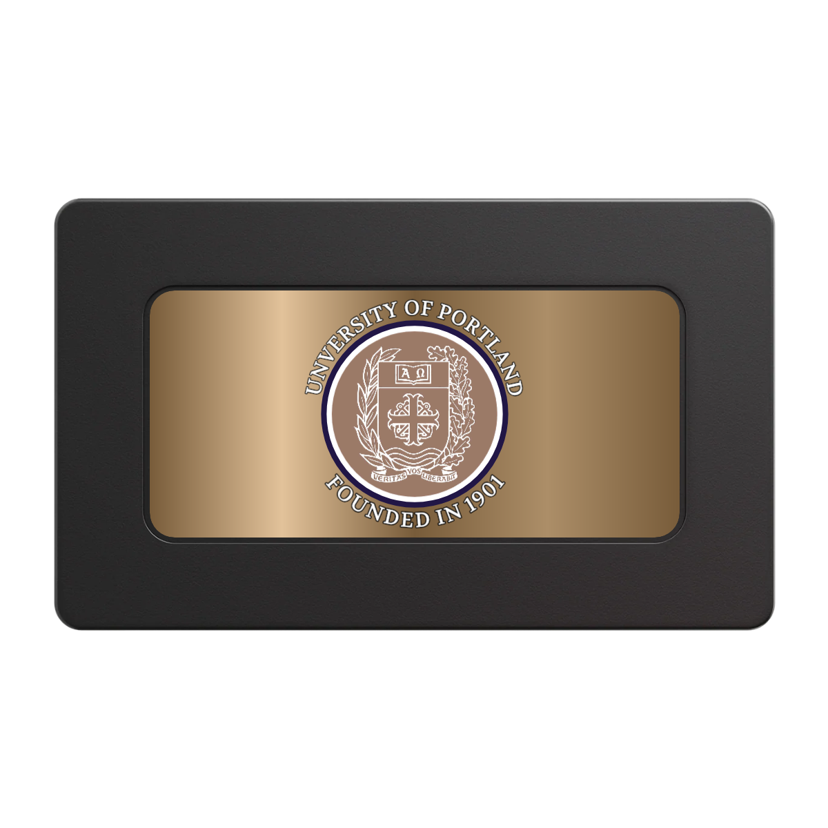 Air Force ROTC Det 695 Rectangular Poker Chip Plaques - Black - Back