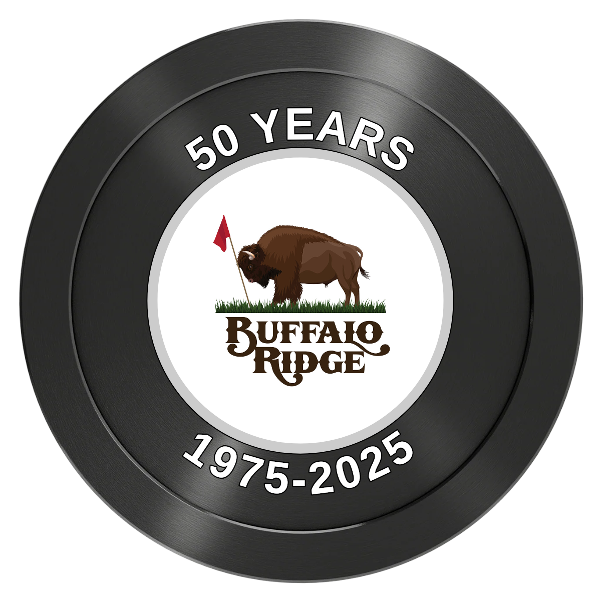 Branded Golf Pro Shop Aluminum Poker Chips - Black - Back