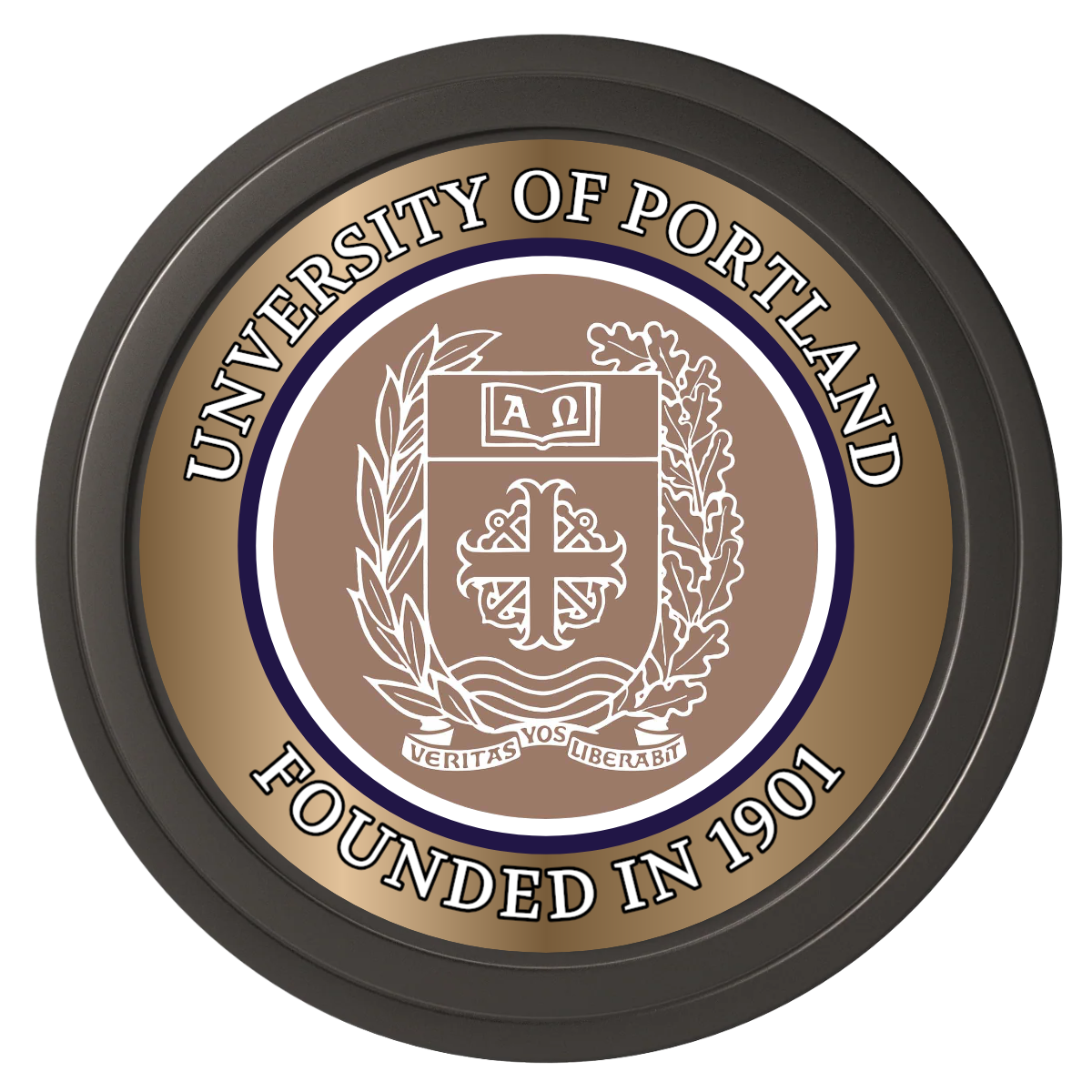 Air Force ROTC Det 695 Composite Poker Chips - Black / Solid - Back