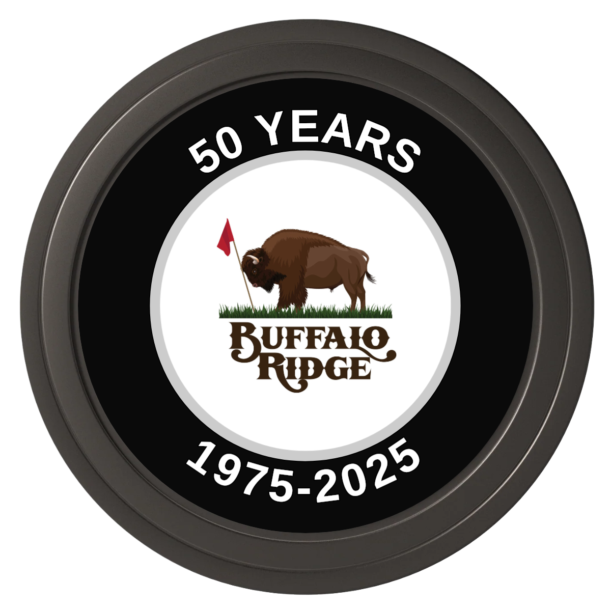 Branded Golf Pro Shop Composite Poker Chips - Black / Solid - Back