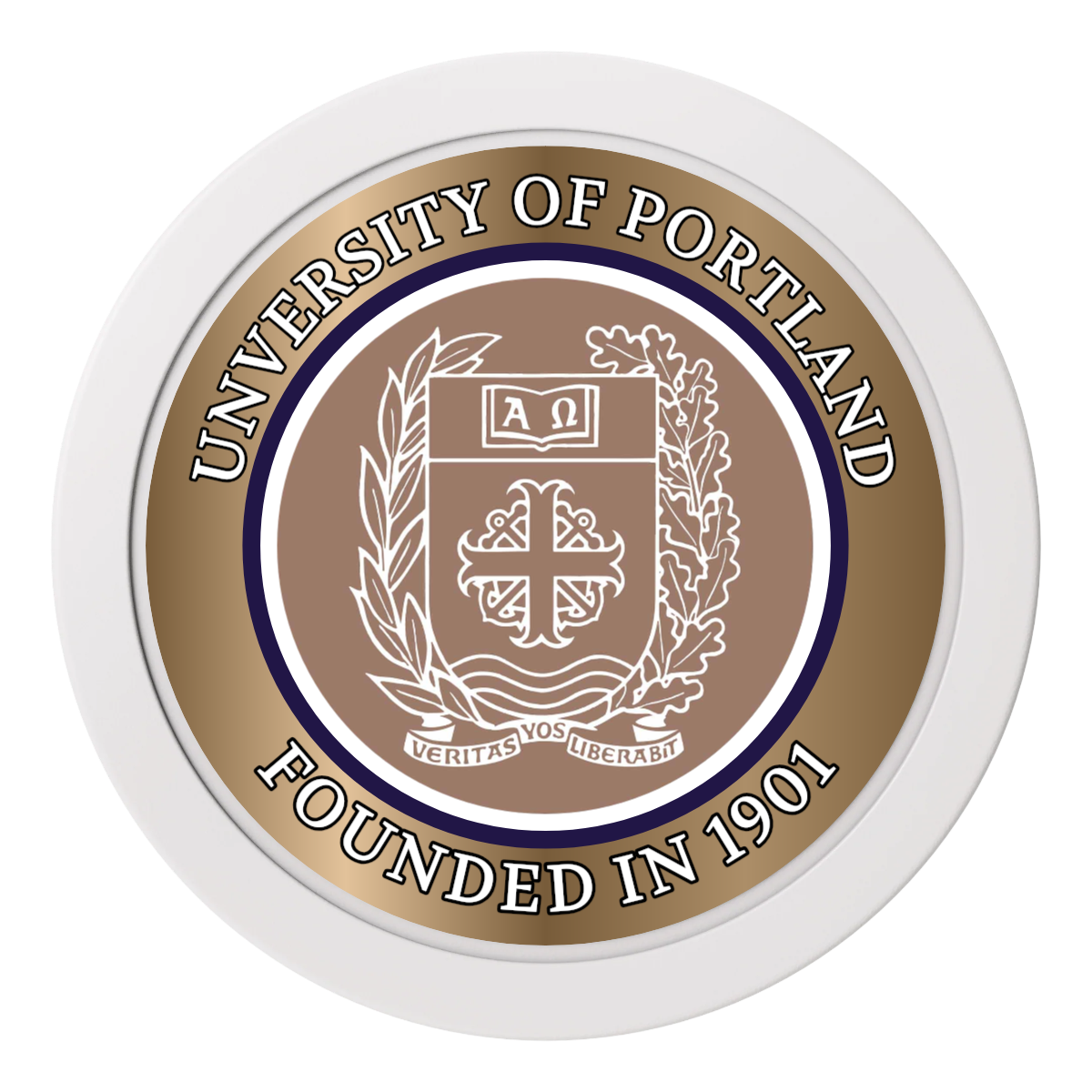 Air Force ROTC Det 695 2" Oversized Poker Chips - White - Back