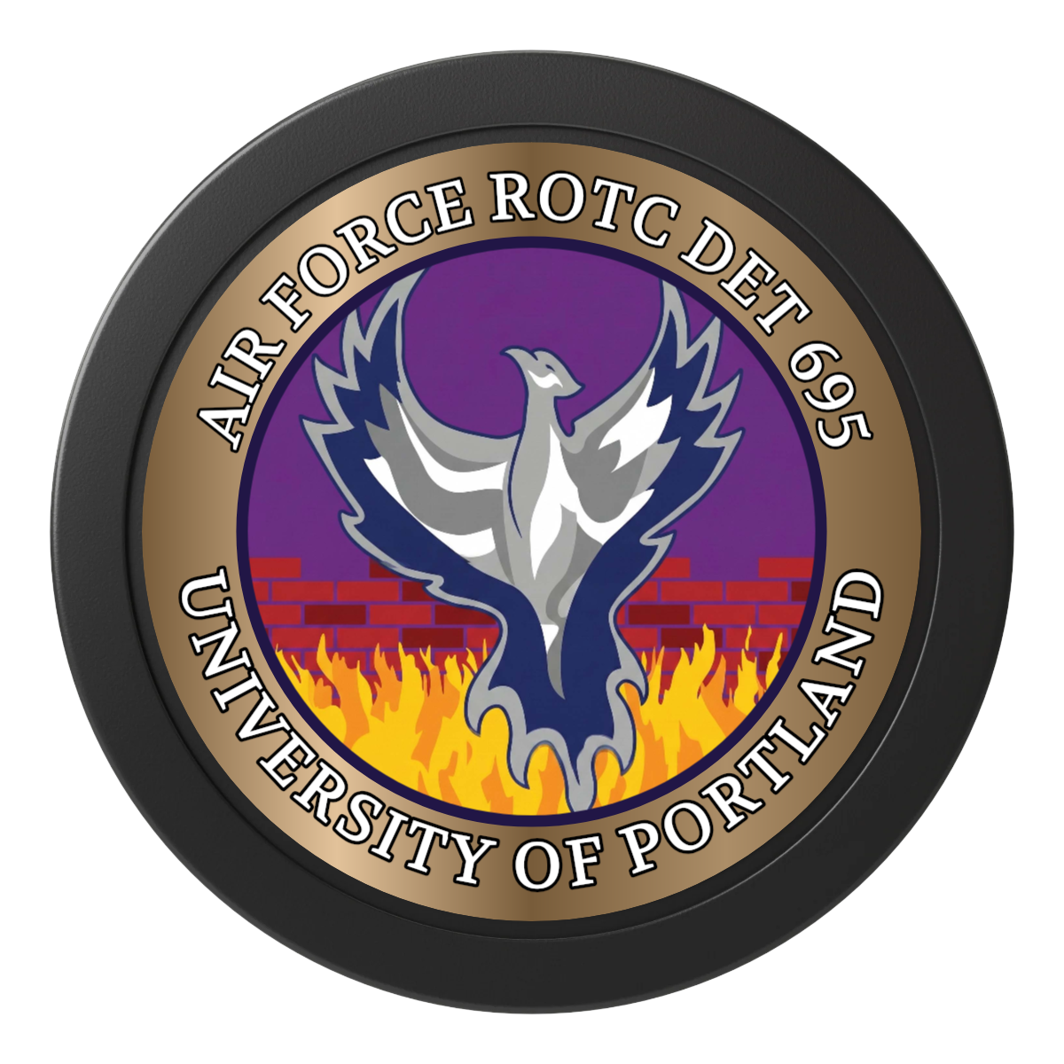 Air Force ROTC Det 695 2" Oversized Poker Chips - Black - Front