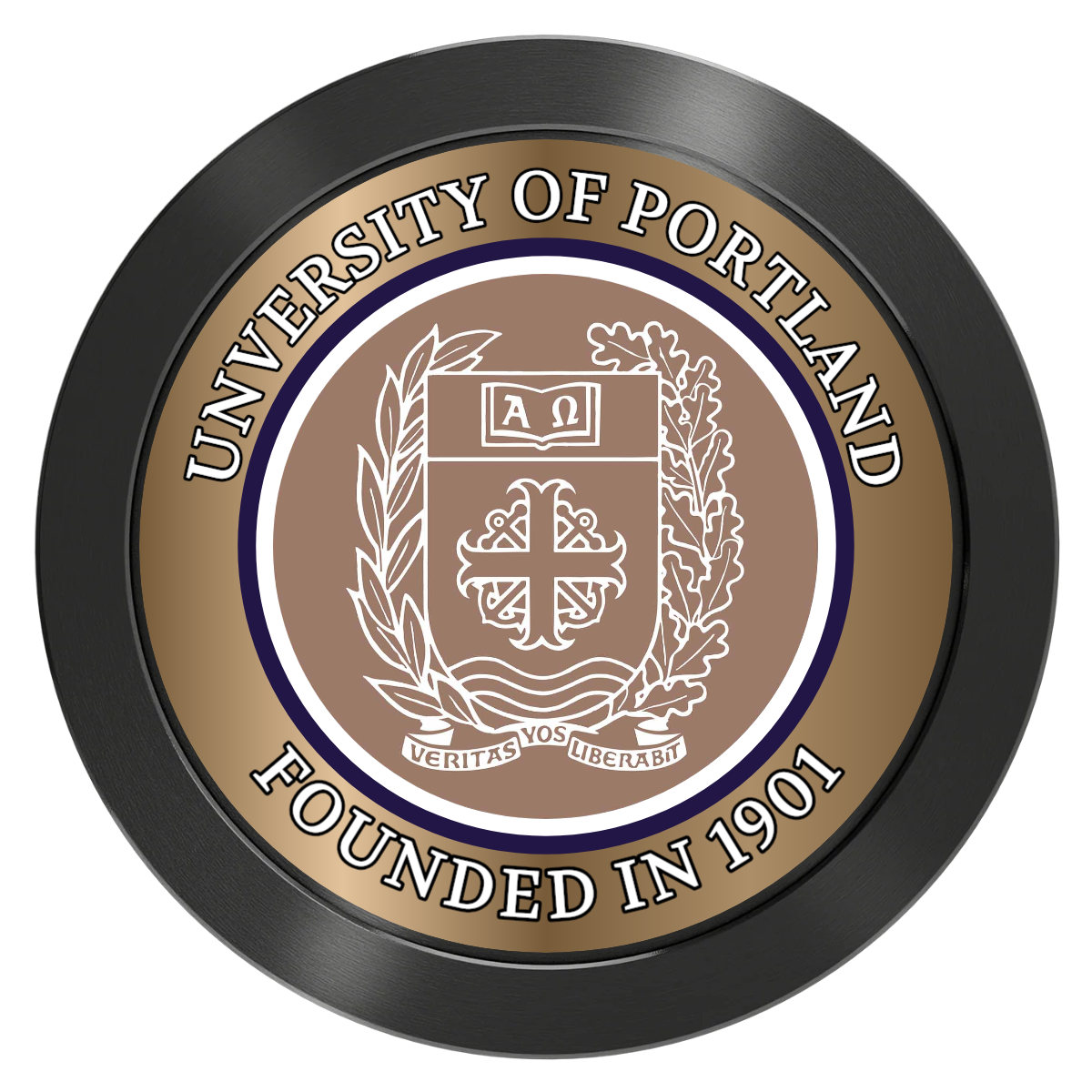 Air Force ROTC Det 695 Aluminum Poker Chips - Black - Back