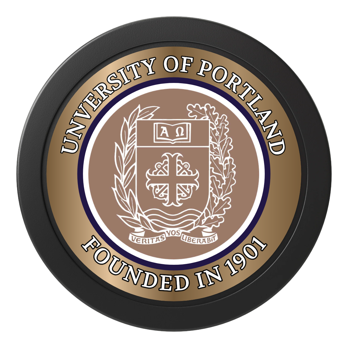 Air Force ROTC Det 695 2" Oversized Poker Chips - Black - Back