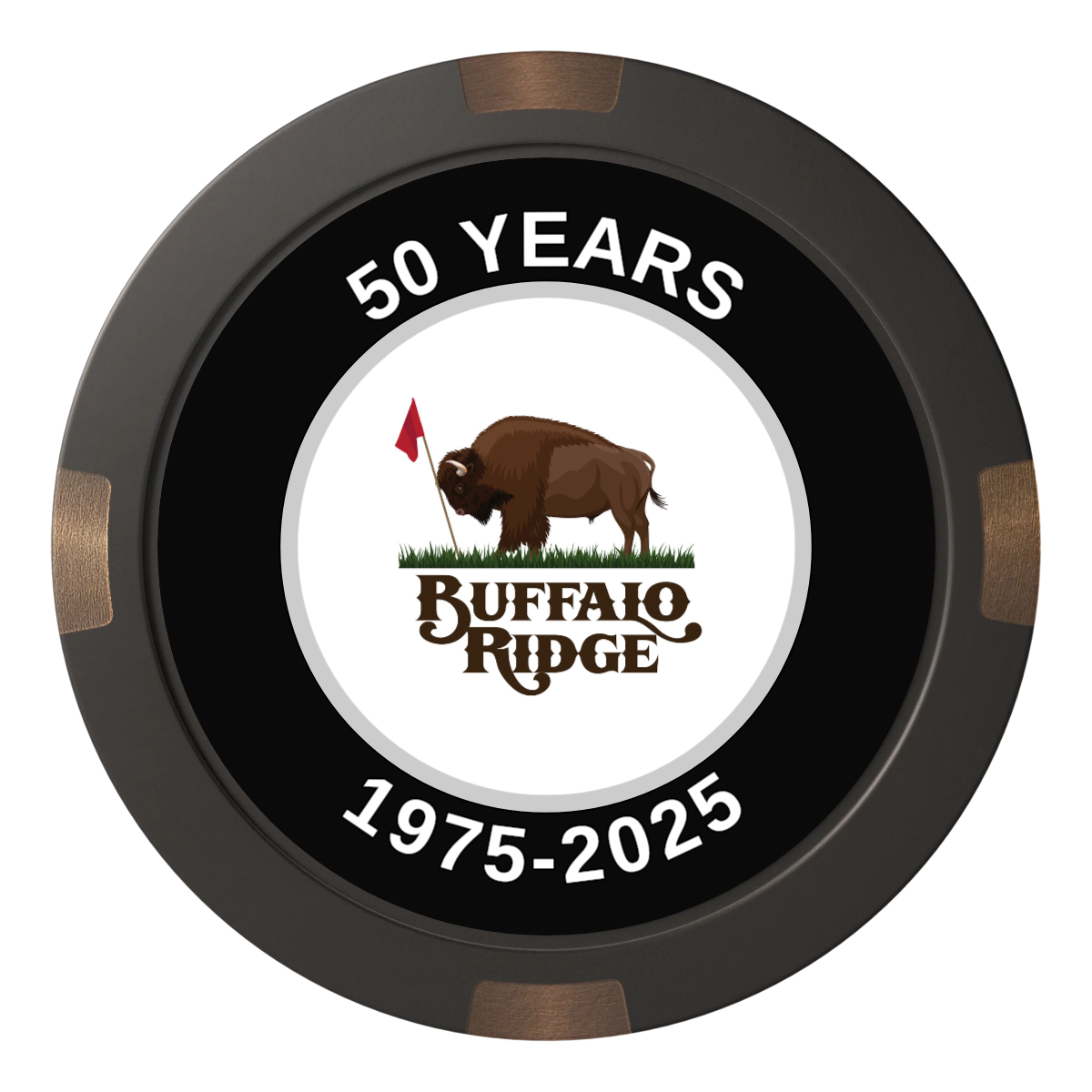 Branded Golf Pro Shop Composite & Metal Hybrid Poker Chips - Black / 4 Spot - Front