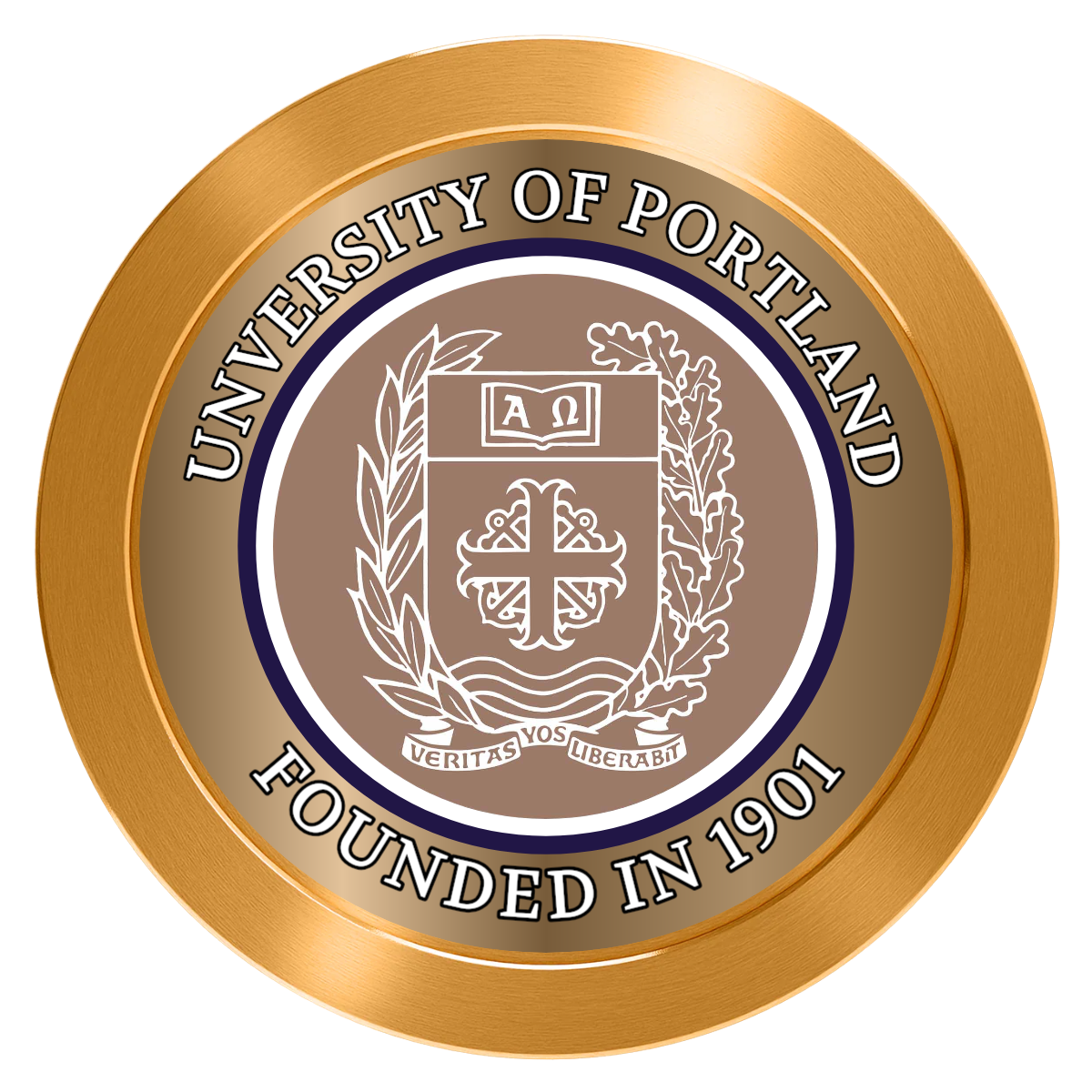 Air Force ROTC Det 695 Aluminum Poker Chips - Gold - Back